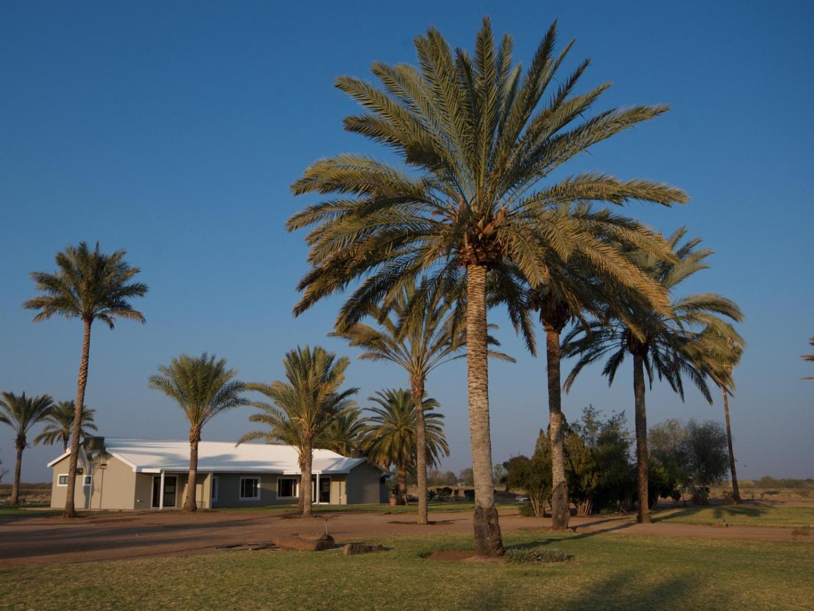 Flying Ostrich Guesthouse & Self-Catering Accommodation Mariental Ngoại thất bức ảnh